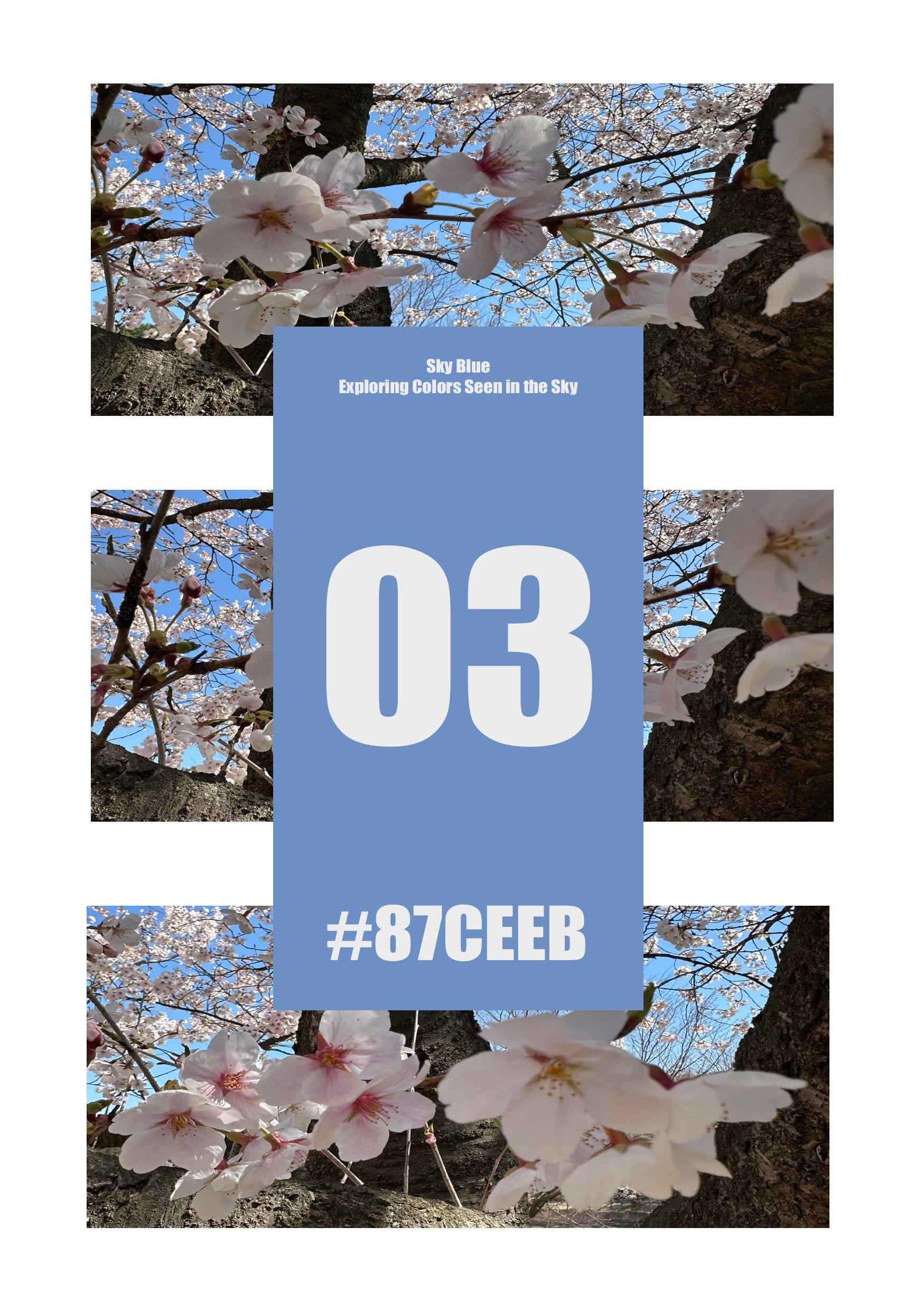 실루엣 07